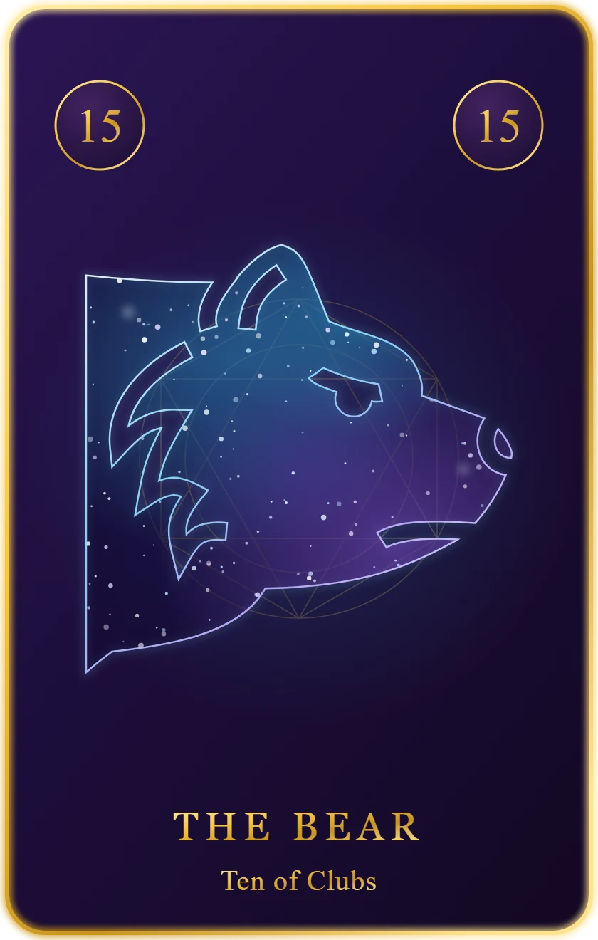 The Bear